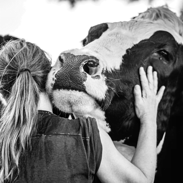 Tavoitteena maailma jossa eläinten oikeudet huomioidaan Animalia