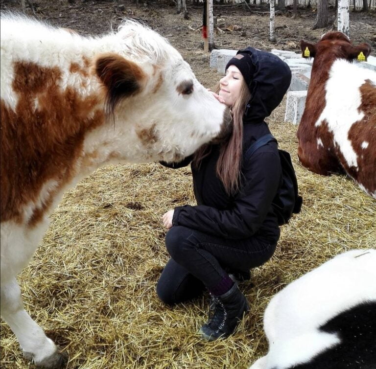 Katre kävi vierailulla Eläinsuojelukeskus Tuulispäässä, jossa oli muun muassa lehmiä.