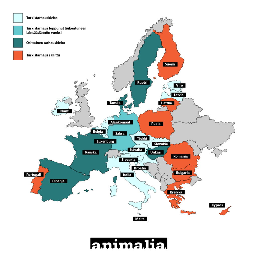 Turkistarhauskiellot ja lainsäädäntö Euroopan unionissa ja muualla maailmassa. Kartta on avattu tekstissä tarkemmin.