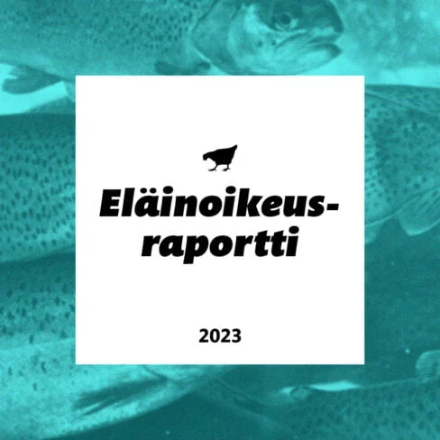 Eläinoikeusraportti 2023.