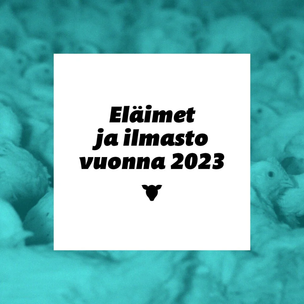 Eläinoikeusraportti 2023 – Eläimet ja ilmasto vuonna 2023.