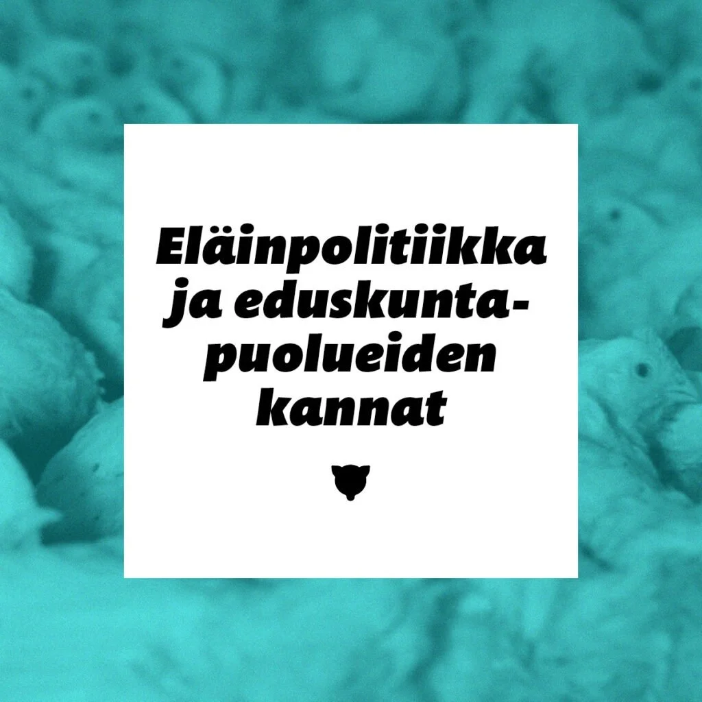 Eläinoikeusraportti 2023 – Eläinpolitiikka ja eduskuntapuolueiden kannat.