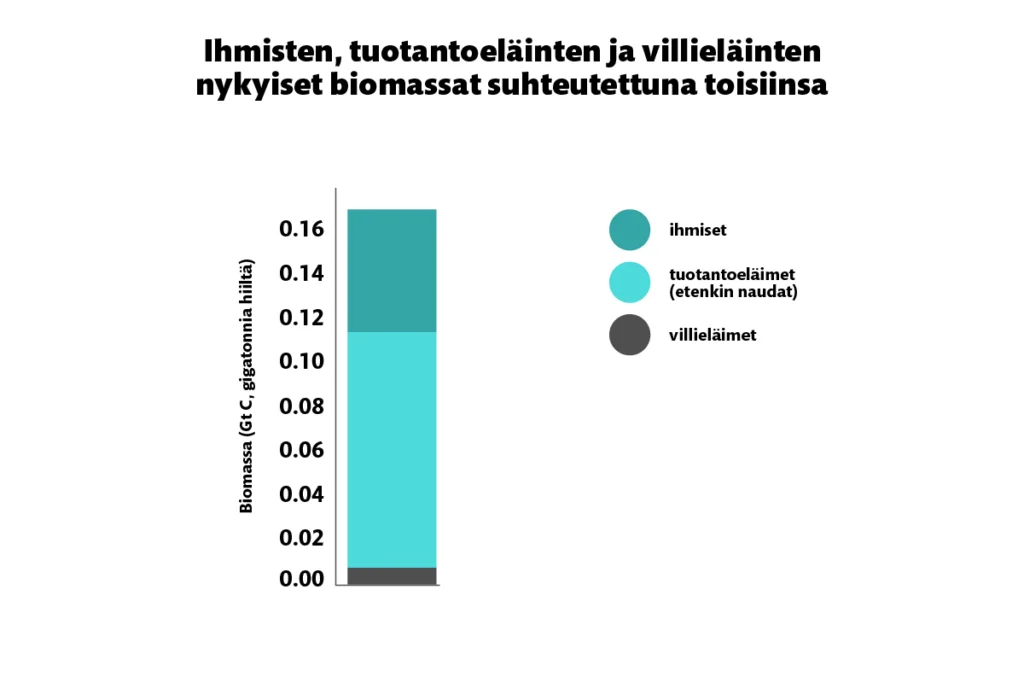 Ihmisten, tuotantoeläinten ja villieläinten nykyiset biomassat suhteutettuna toisiinsa. 