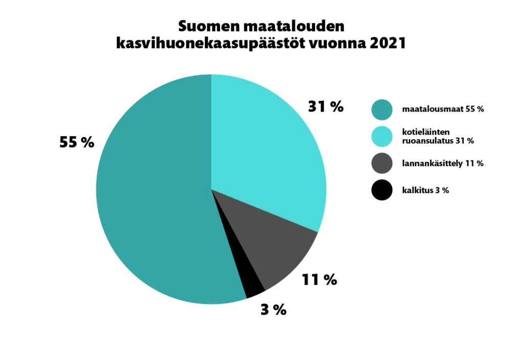 Suomen maatalouden kasvihuonepäästöt vuonna 2021: Maatalousmaat 55 %, kotieläinten ruoansulatus 31 %, lannankäsittely 11 %, kalkitus 3 %.