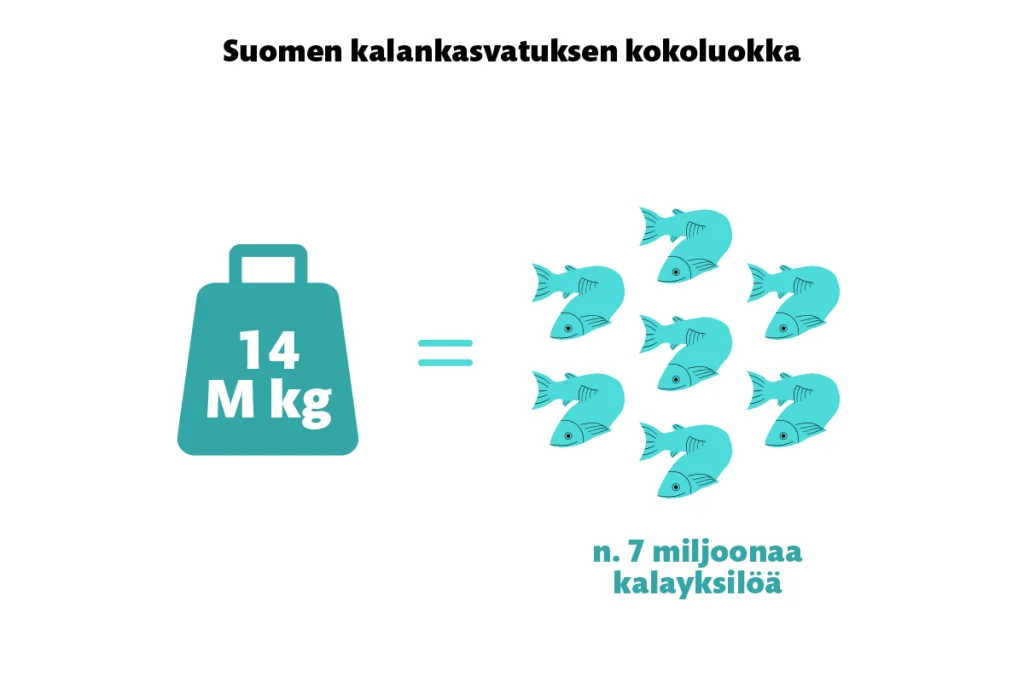 Suomen kalankasvatuksen kokoluokka. 14 miljoonaa kiloa = noin 7 miljoonaa kalayksilöä.