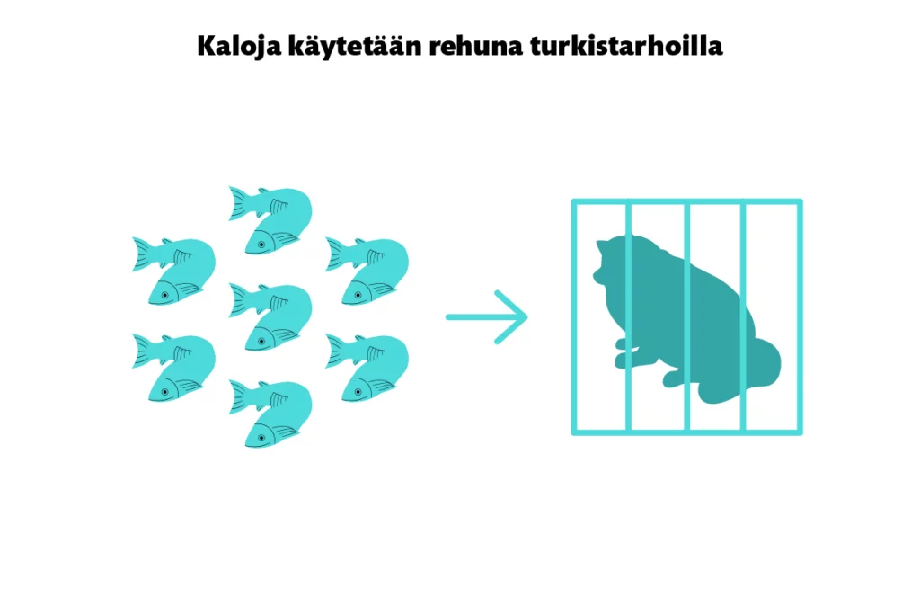 Kaloja käytetään rehuna turkistarhoilla. 