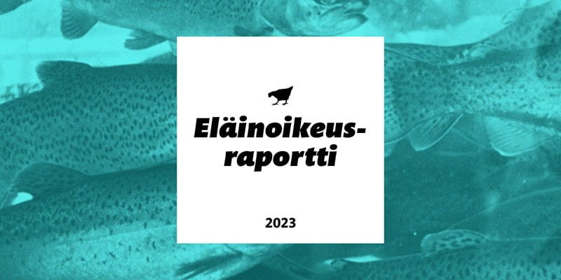 Animalian Eläinoikeusraportti 2023.