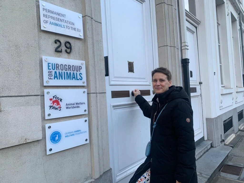 Heidi Kivekäs Eurogroup for Animalsin toimistolla Brysselissä.