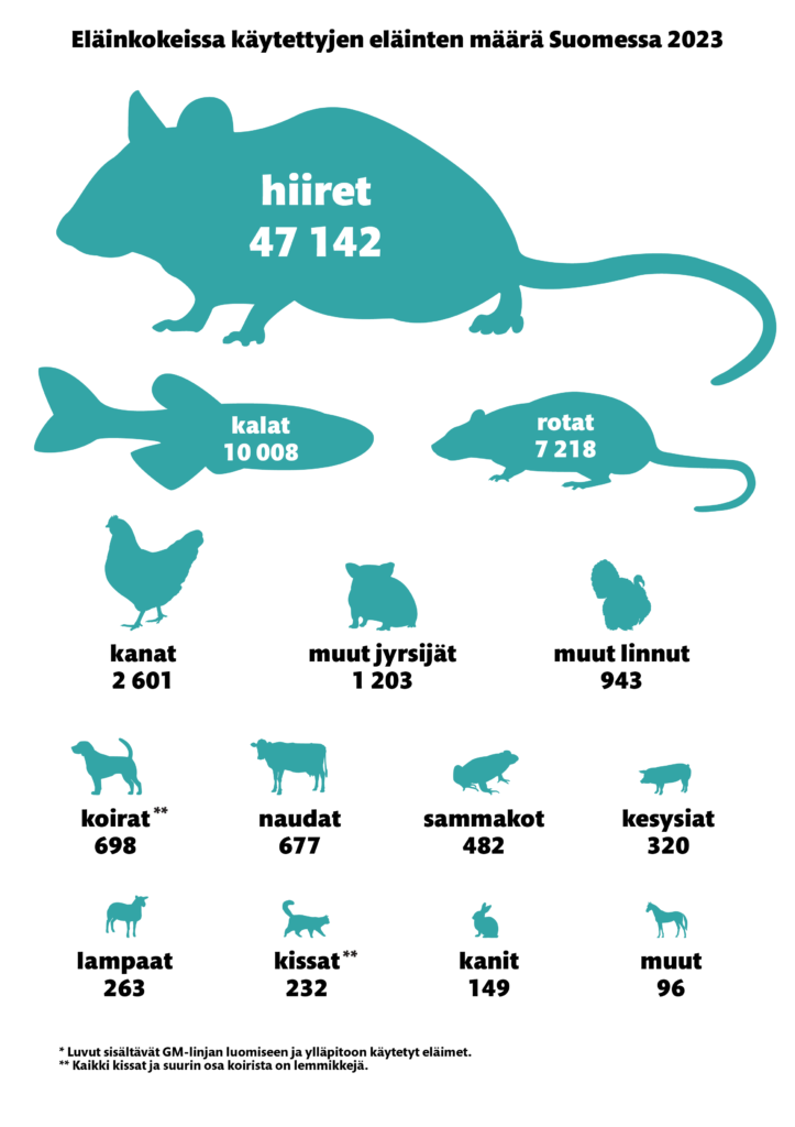 Infograafi eläinkokeissa käytettyjen eläinten määrästä Suomessa 2023. Hiiret 47142, kalat 10 008, rotat 7218, kanat 2601, muut jyrsijät 1203, muut linnut 943, koirat** 698, naudat 477, sammakot 482, kesysiat 320, lampaat 263, kissat** 232, kanit 149, muut 96. * Luvut sisältävät GM-linjan luomiseen ja ylläpitoon käytetyt eläimet. 
** Kaikki kissat ja suurin osa koirista on lemmikkejä. 