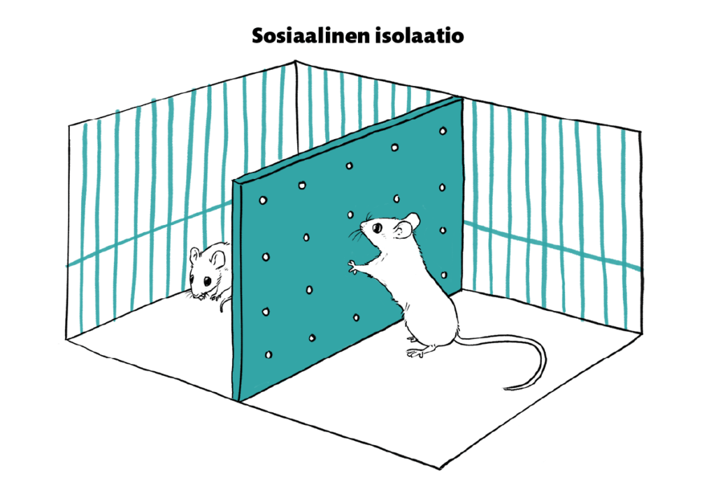 Sosiaalinen isolaatio. 