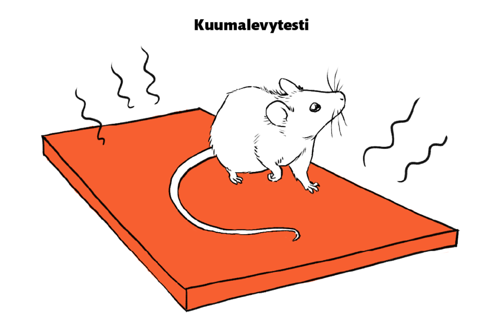 Kuumalevytesti.