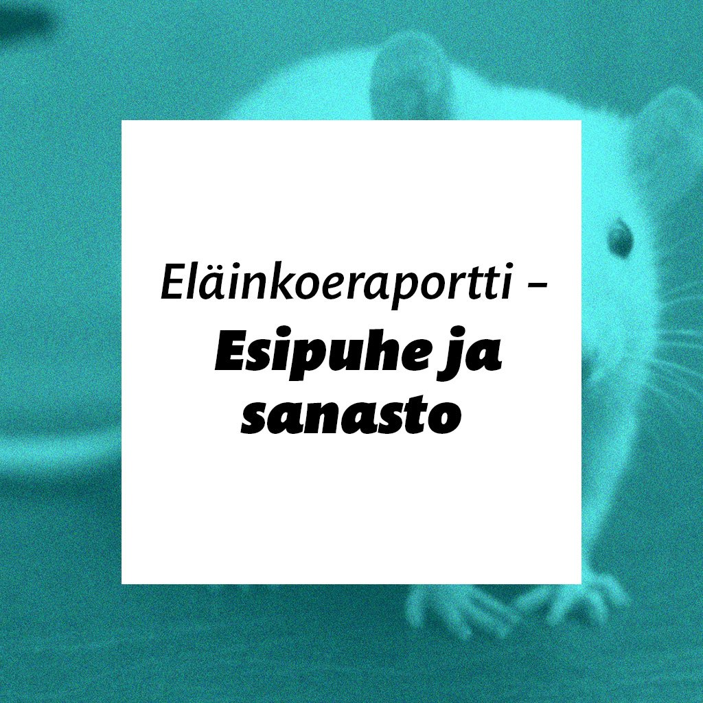 Eläinkoeraportti – Esipuhe ja sanasto